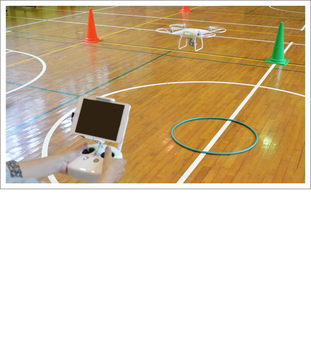 PIC DRONE SERVICE 水戸 茨城 ドローン サービス