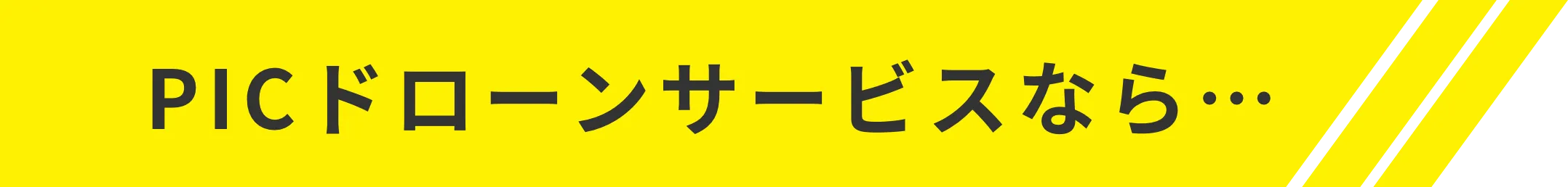 PIC DRONE SERVICE 水戸 茨城 ドローン サービス